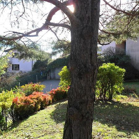 Apartamento I Tre Faggi Albese Con Cassano Exterior foto
